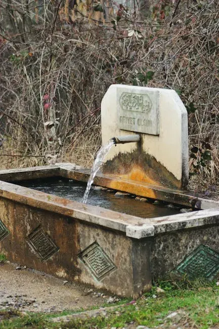 Tracing the Roots of "Bubbler" (Image Credits: Pexels)