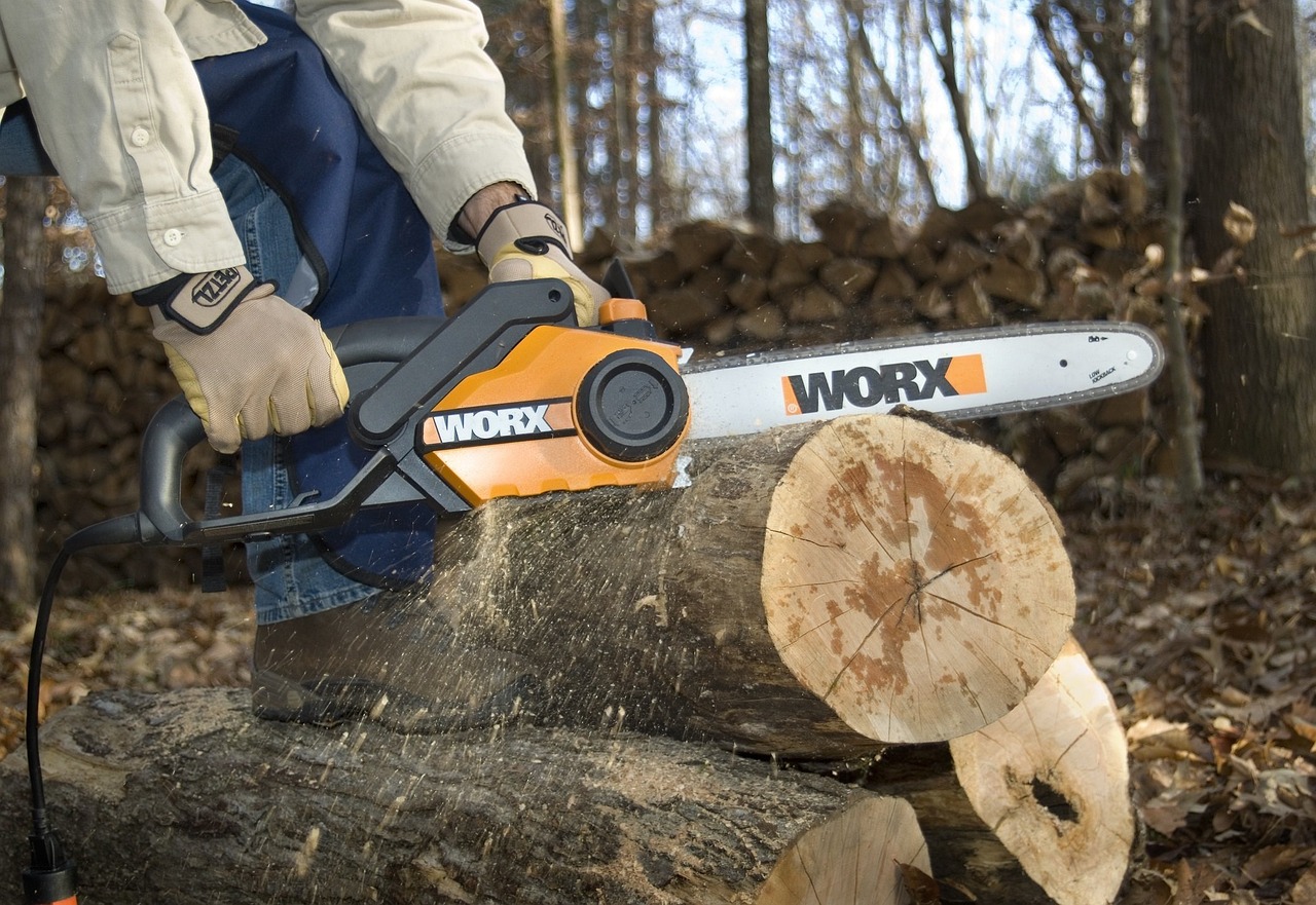 Small Chainsaws Cutting Into Controversial Territory (image credits: pixabay)