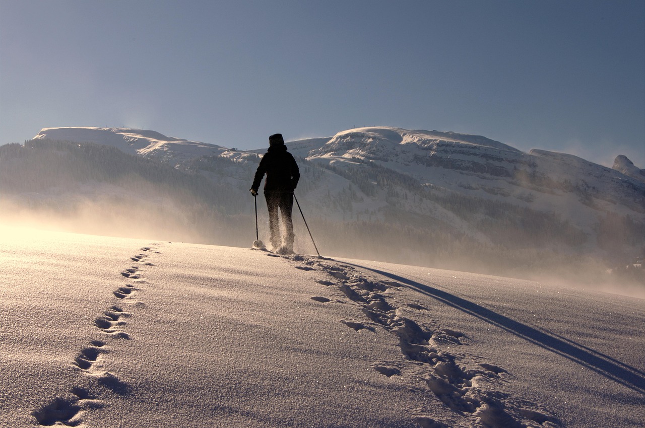 Capricorn: The Ultimate Mountain Climber (image credits: pixabay)