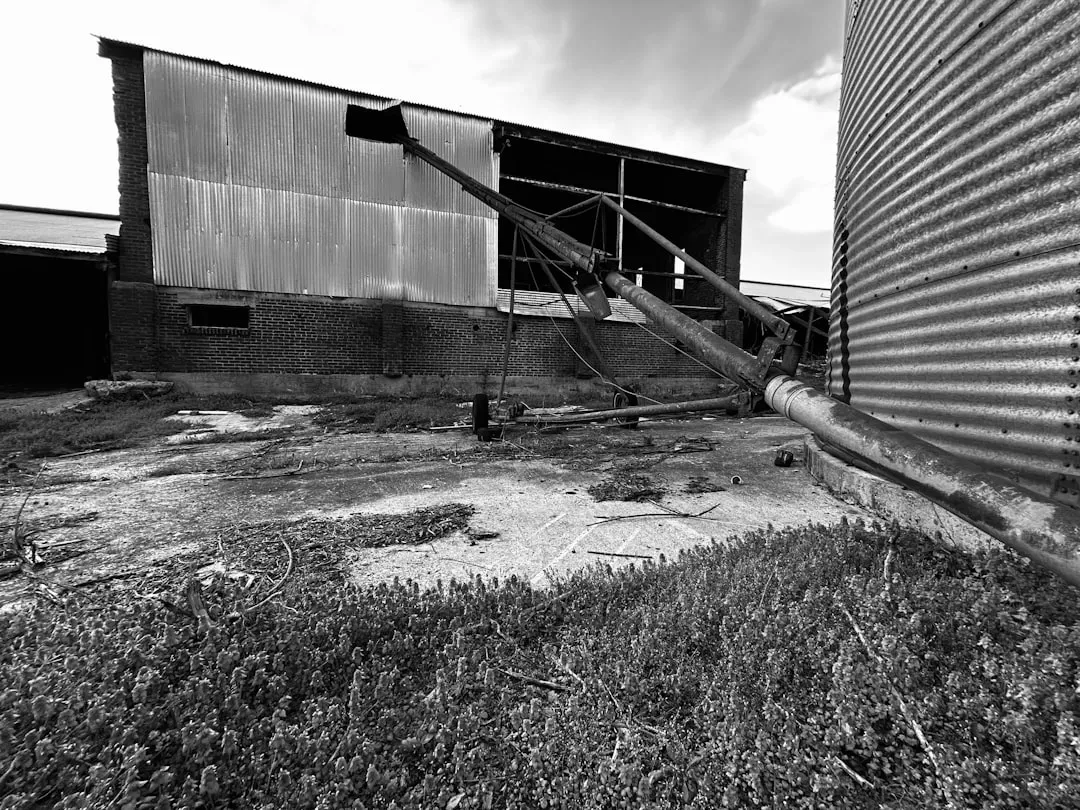 The Big Catch Across All Three (Image Credits: Unsplash)