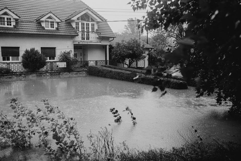 Lessons from the Past: Preparing for Future Floods (image credits: pexels)