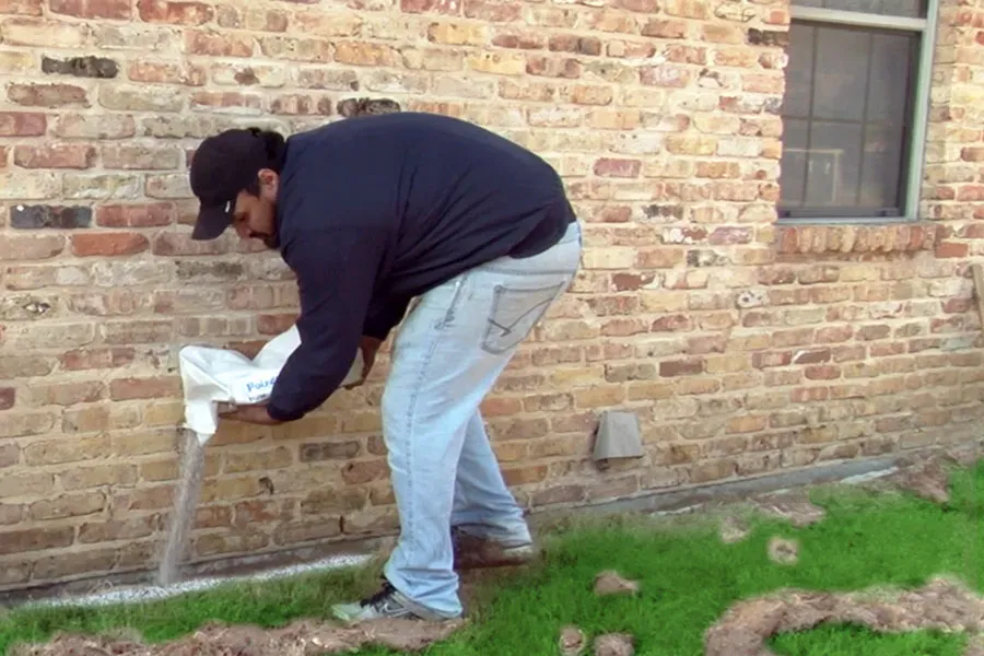 8. Integrated Pest Management: The Smarter Way to Prevent Infestations (Image Credits: Wikimedia)