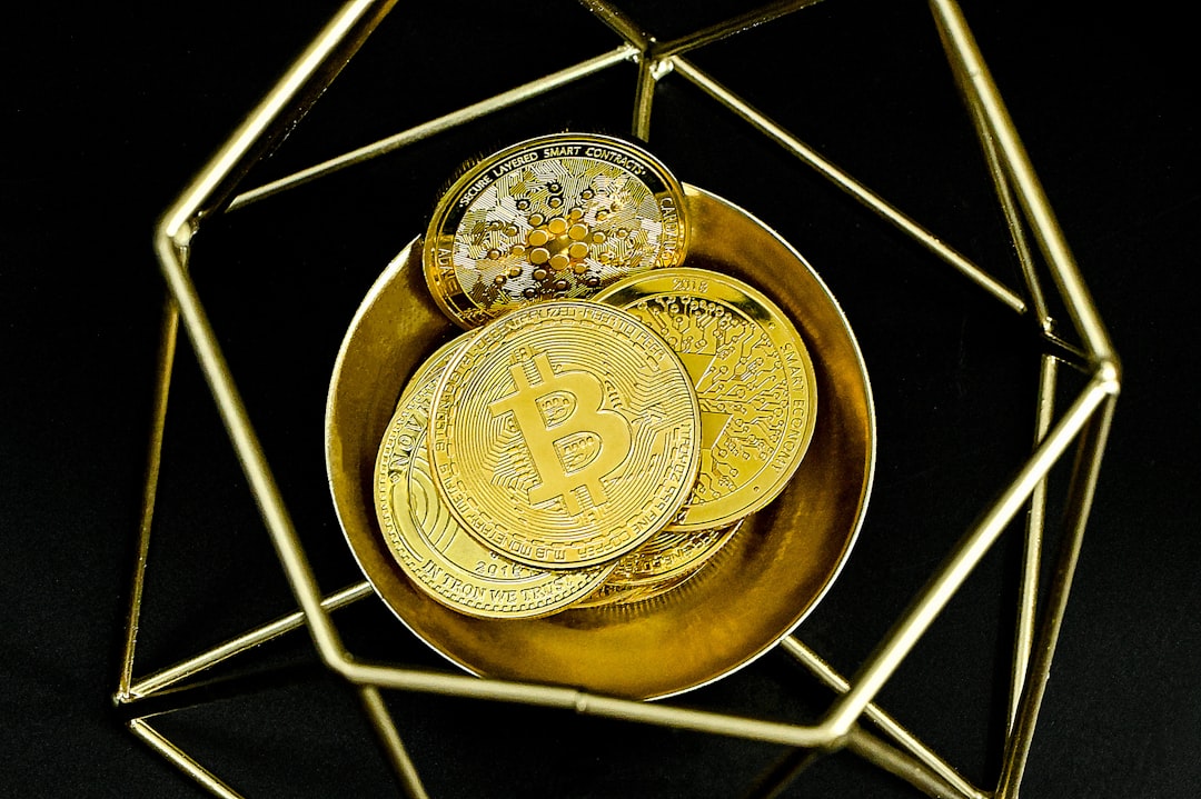 What Makes These Signs Different This Year (image credits: unsplash)