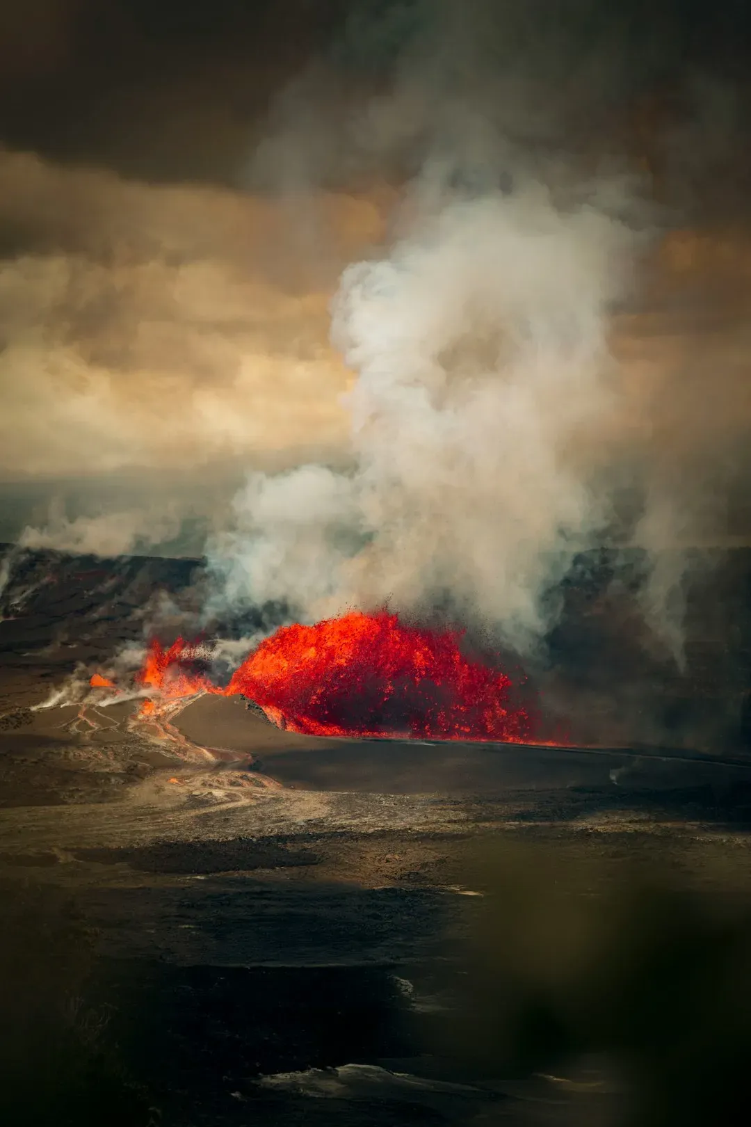 Conclusion: Paradise Has a Wild Side Nobody Advertises (Image Credits: Unsplash)