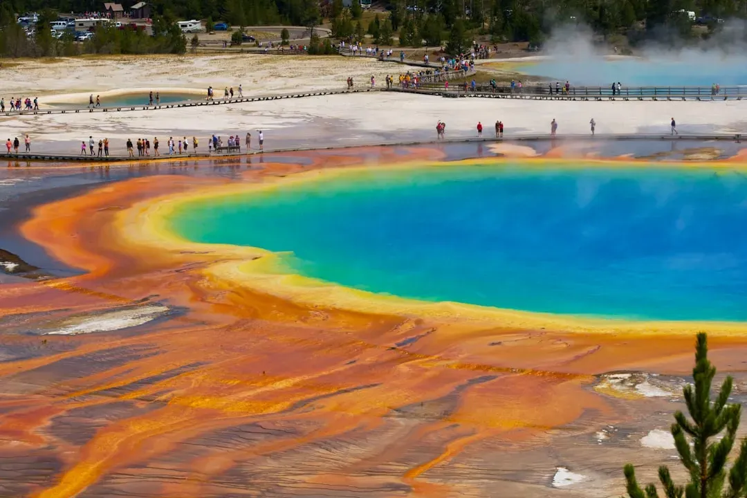 Around Volcanic Rock Fields in Yellowstone National Park (Image Credits: Unsplash)
