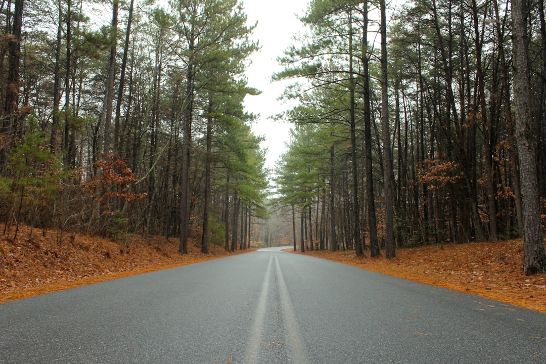 The Future of Healthcare in North Carolina (image credits: unsplash)