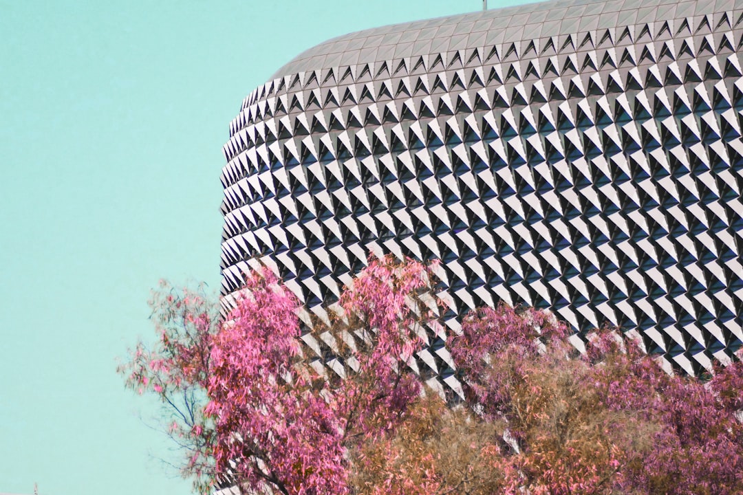 Raleigh-Durham, North Carolina: The Research Triangle's Golden Formula (image credits: unsplash)