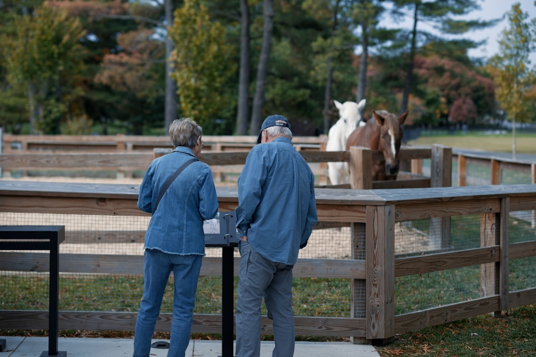 New Hampshire: Racing Into Retirement (image credits: unsplash)