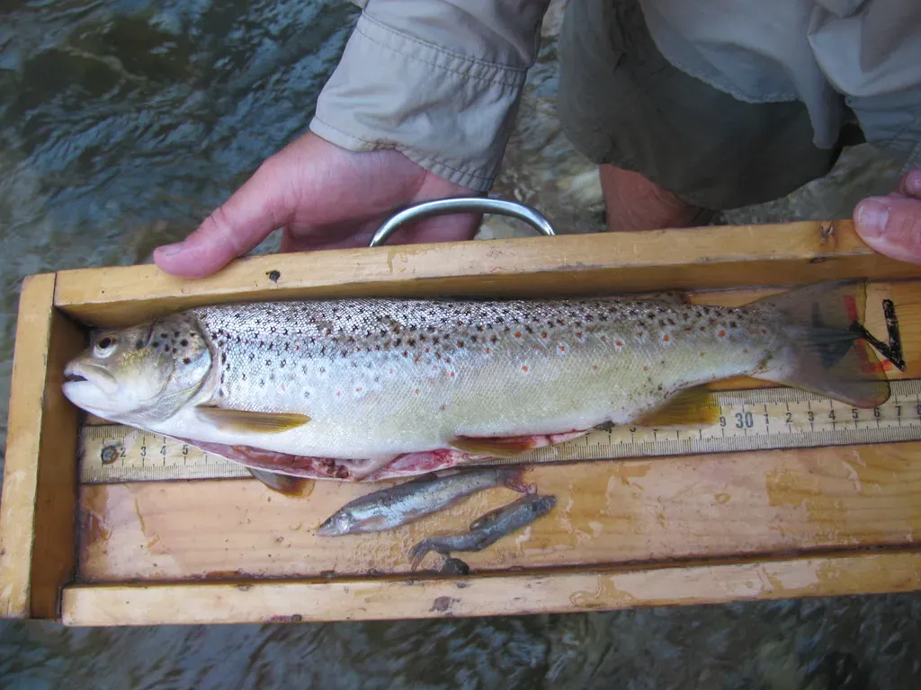 The Backup Plan: How Scientists Are Fighting Back (Grand Canyon NPS, Flickr, CC BY 2.0)