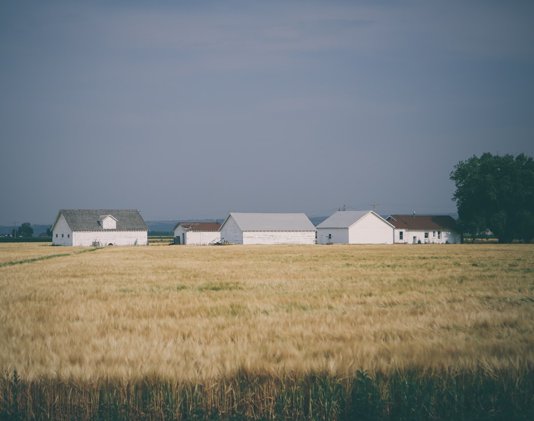 The New Grant Game Levels the Playing Field (image credits: unsplash)