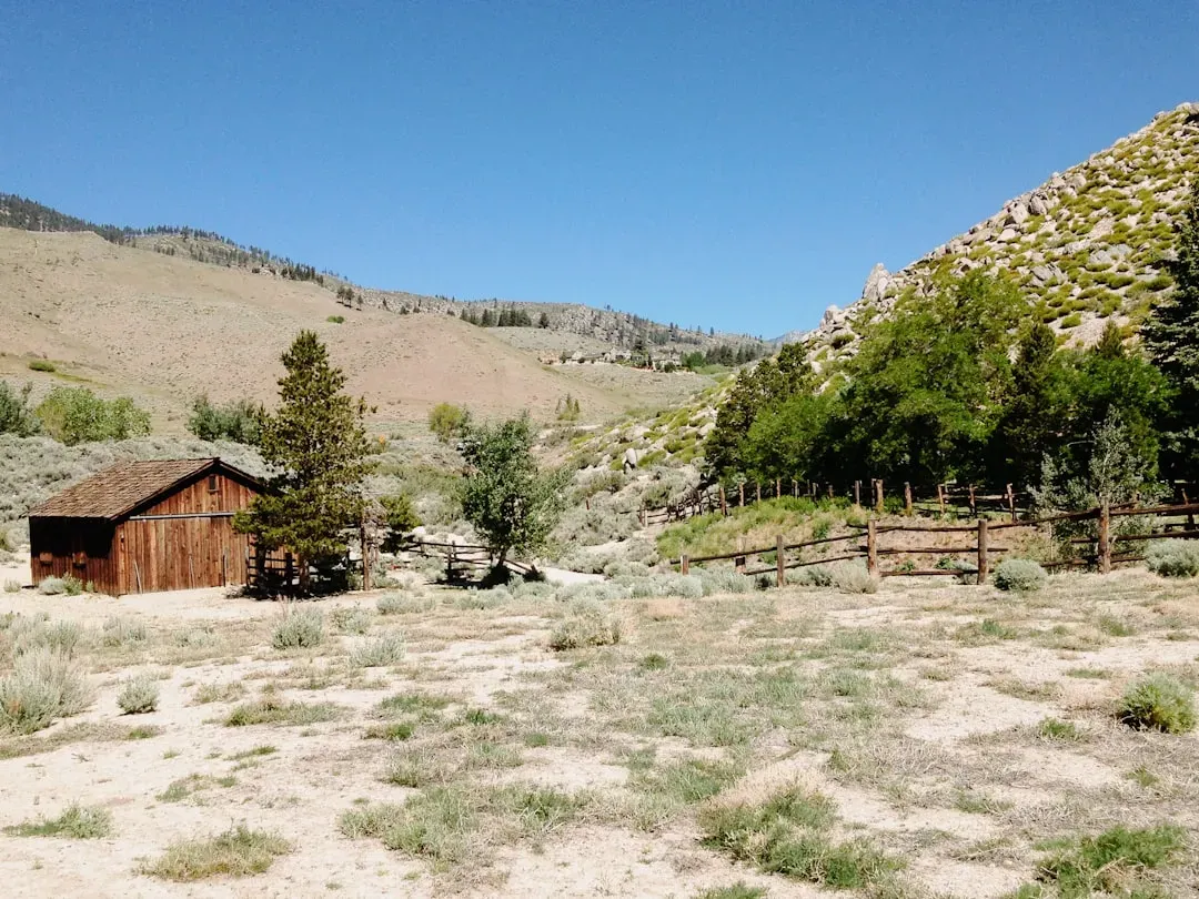 Scorpio, Capricorn: Big Bend Ranch State Park, Texas (Image Credits: Unsplash)