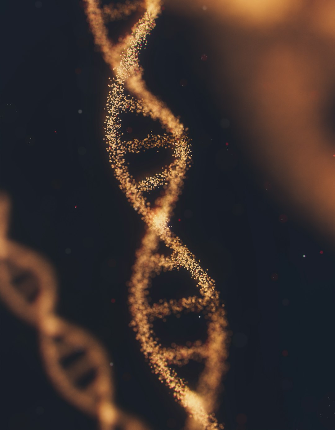 DNA Projects Hunt for Descendants (image credits: unsplash)