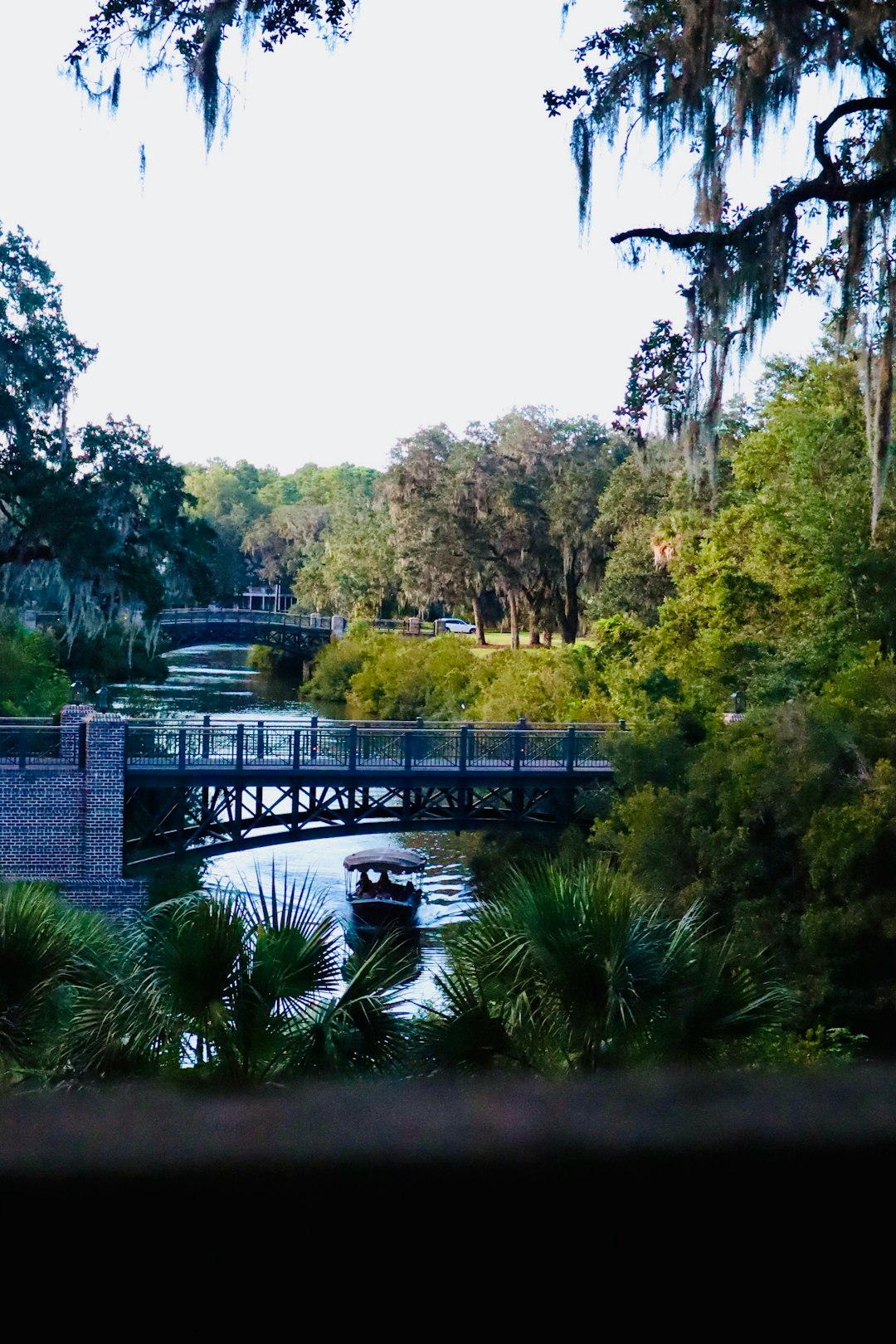 South Carolina's Remarkable Rise as Top Destination (image credits: unsplash)