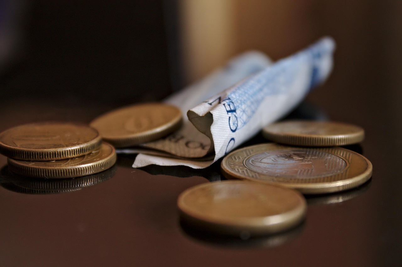 Understanding New York's Minimum Wage Structure (image credits: pixabay)
