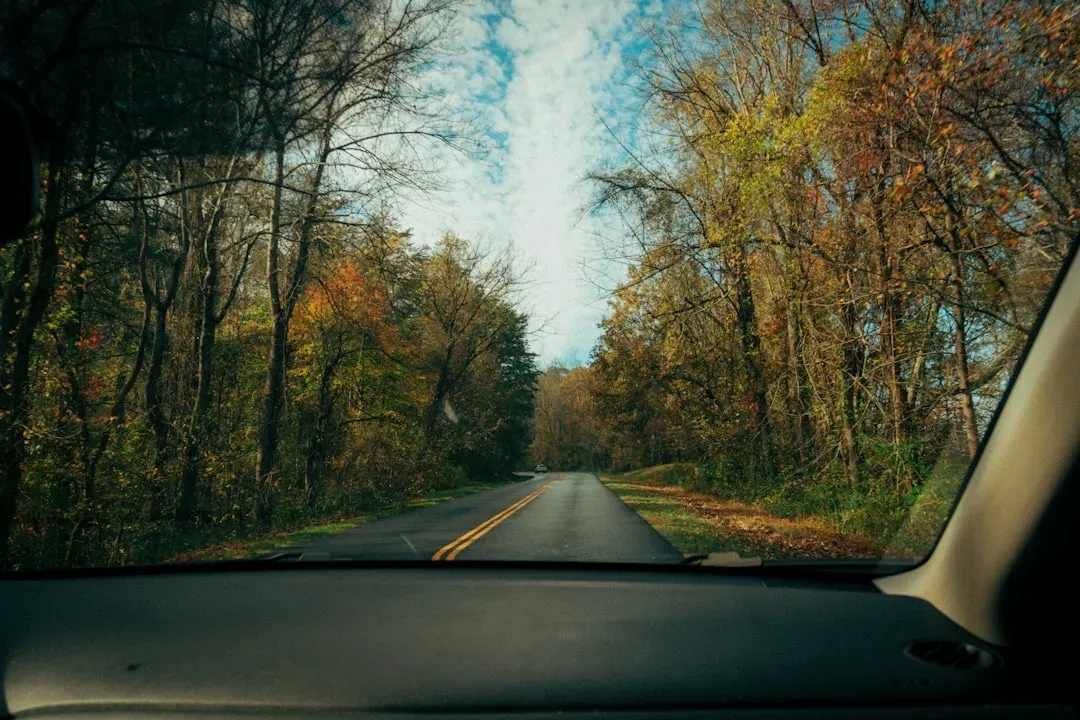 Timing Your Trip to Beat Seasonal Price Spikes (Image Credits: Unsplash)