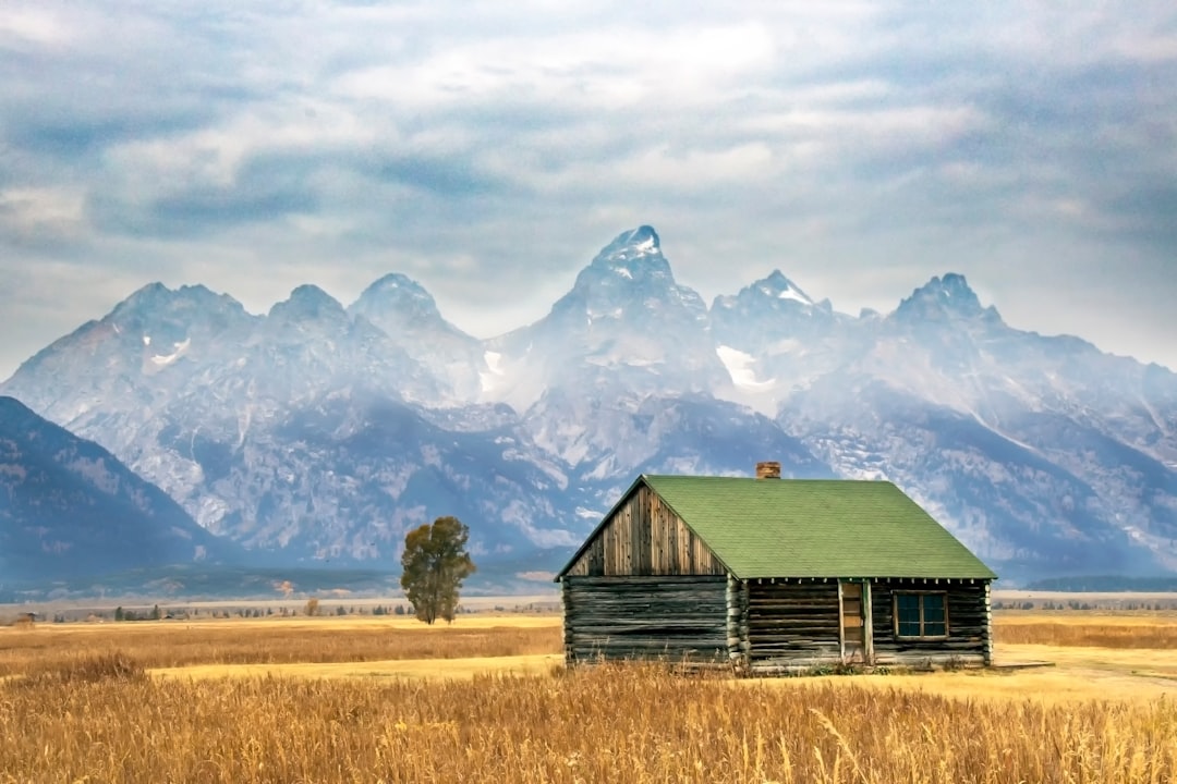 The Appeal of Solitude and Space
