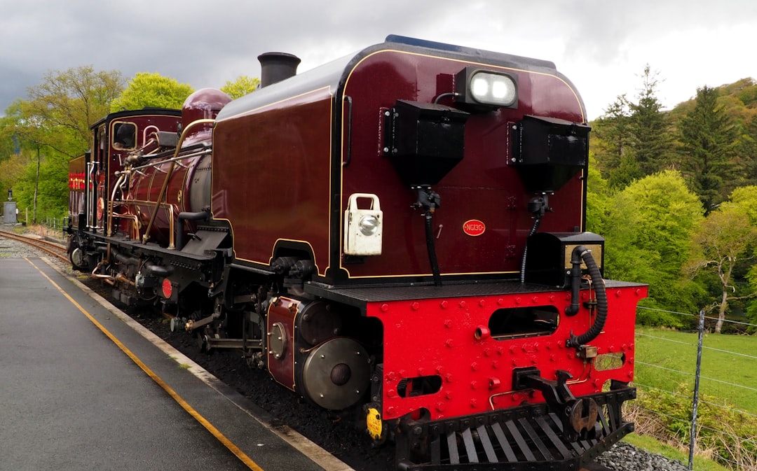 Silverton's Narrow Gauge Railroad Becomes Economic Lifeline (image credits: unsplash)