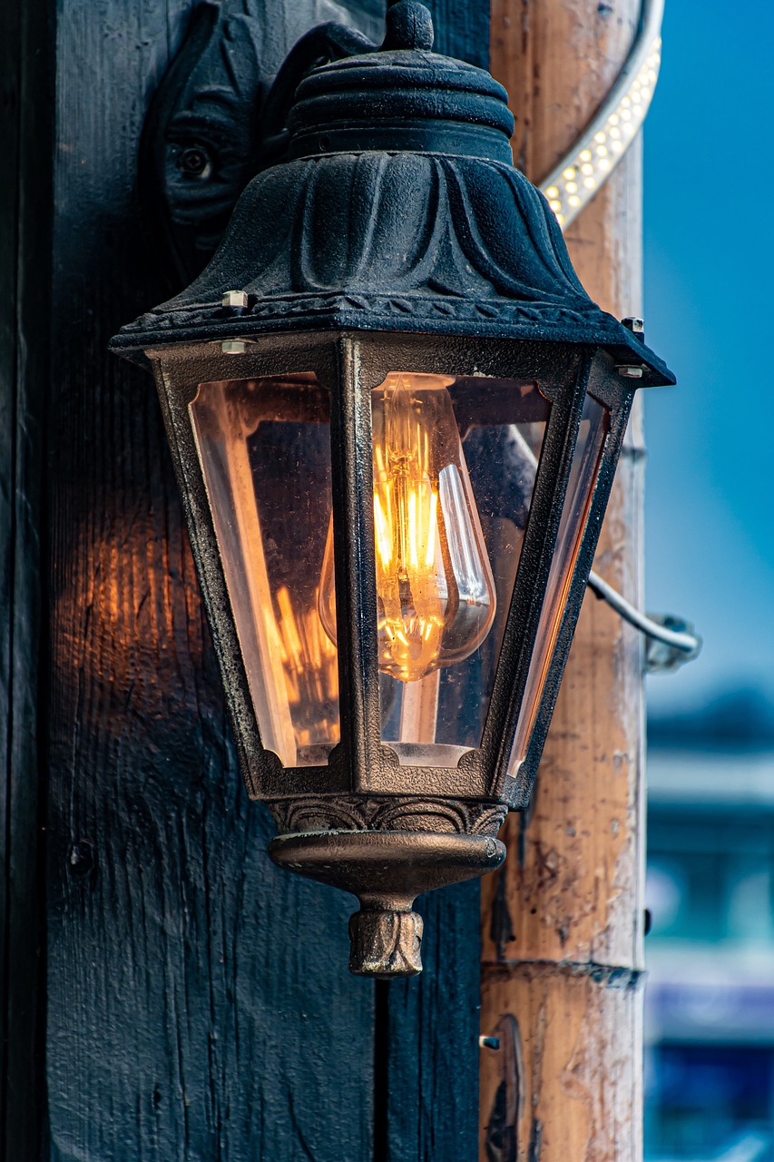 The Light Bulb - Illuminating Human Progress (image credits: pixabay)
