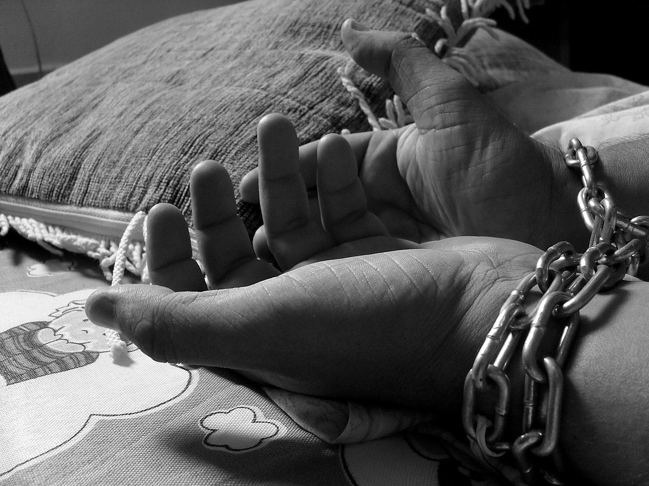 Legal Repercussions and Sentencing (image credits: pixabay)