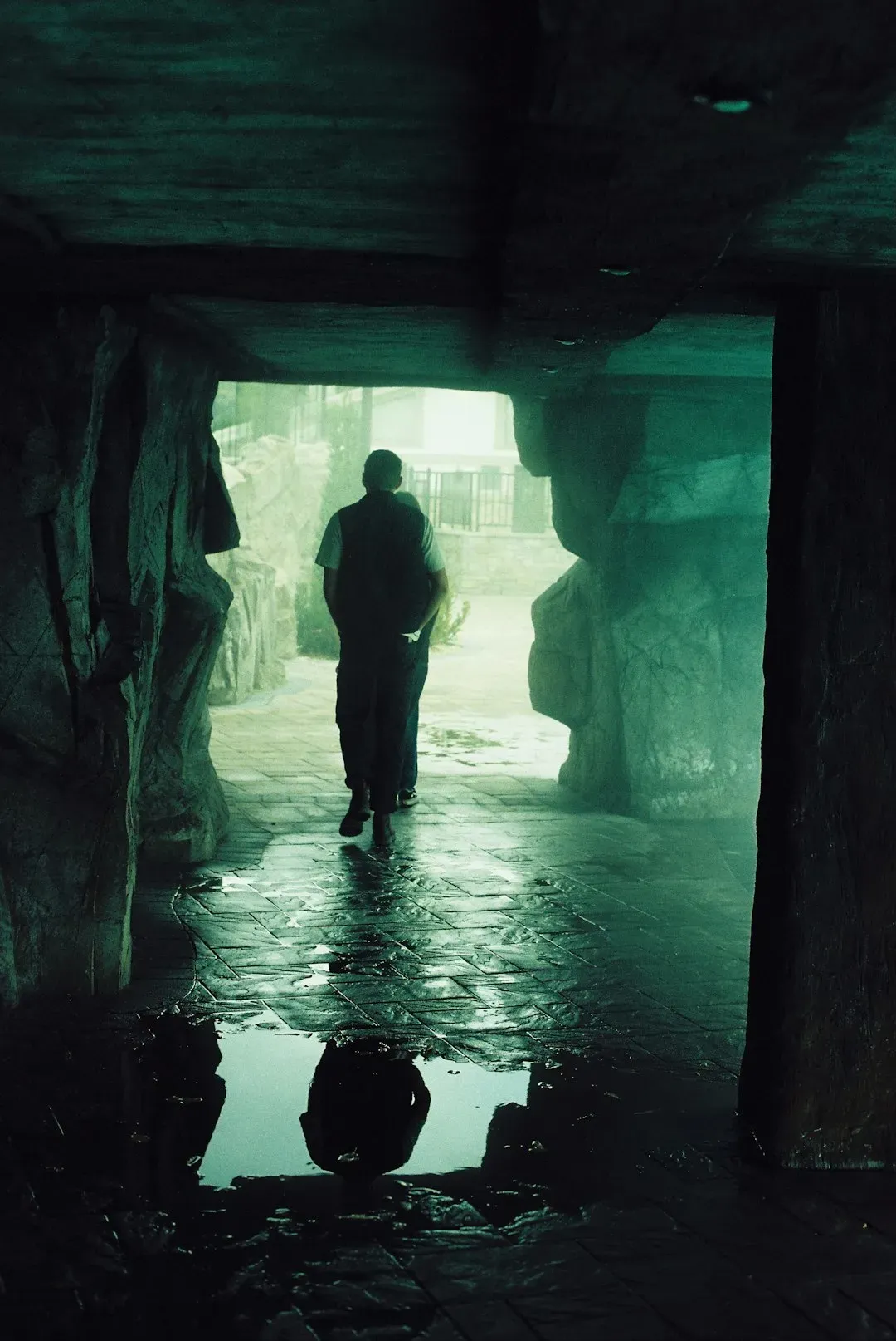 Leo: The Grand Entrance Strategist (Image Credits: Unsplash)