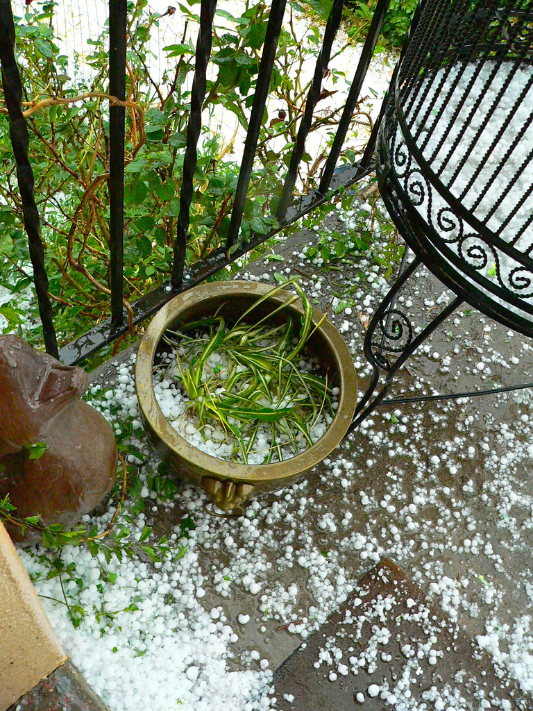 New Mexico's Surprising Hail Surge in the Southwest (image credits: flickr)