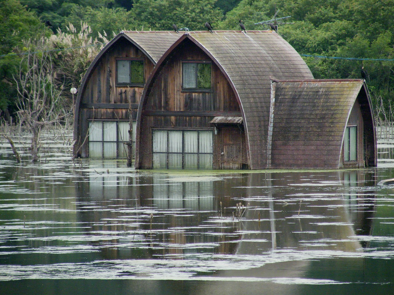 What Actually Lies Beneath the Lake (image credits: pixabay)