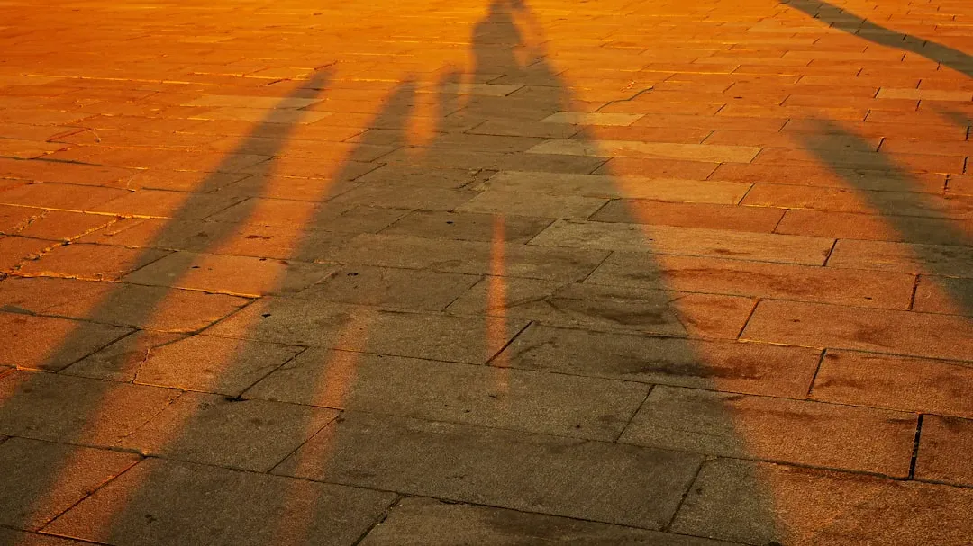 Steps to Integrate Your Golden Shadow (Image Credits: Unsplash)
