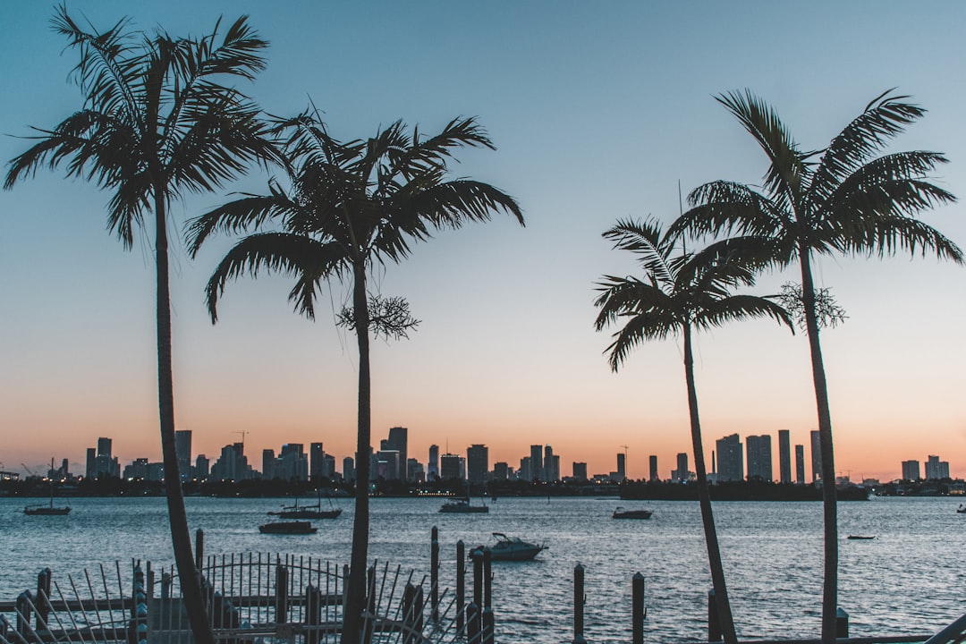 Overview of Florida's New Immigration Laws (image credits: unsplash)