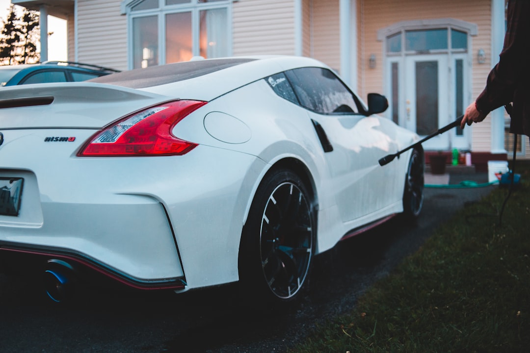 Nissan Ariya (image credits: unsplash)