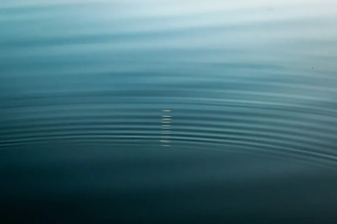 Tips to Ride This Wave (Image Credits: Unsplash)