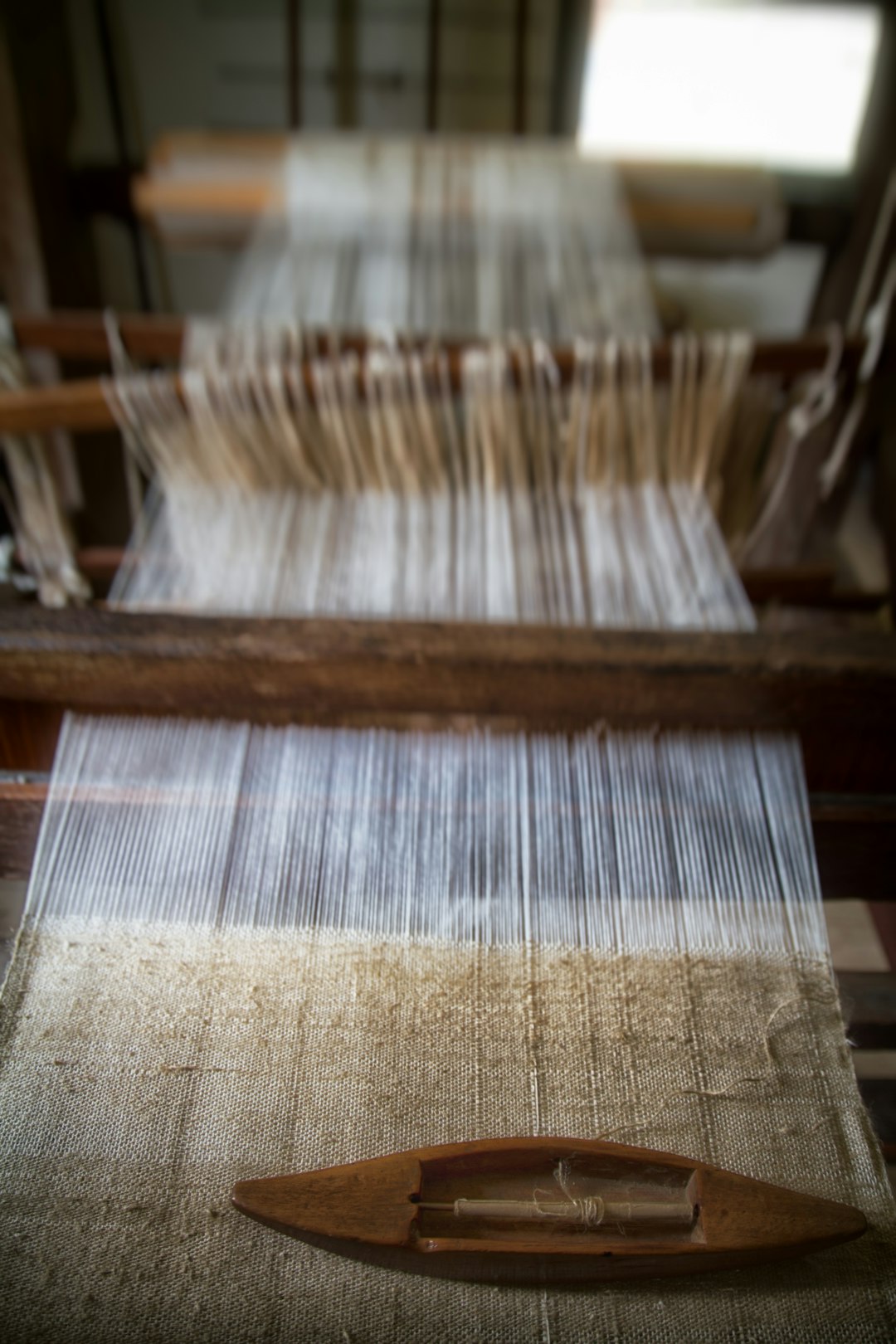 Innovative Design: The Aesthetic Appeal of Mycelium Fabrics (image credits: unsplash)