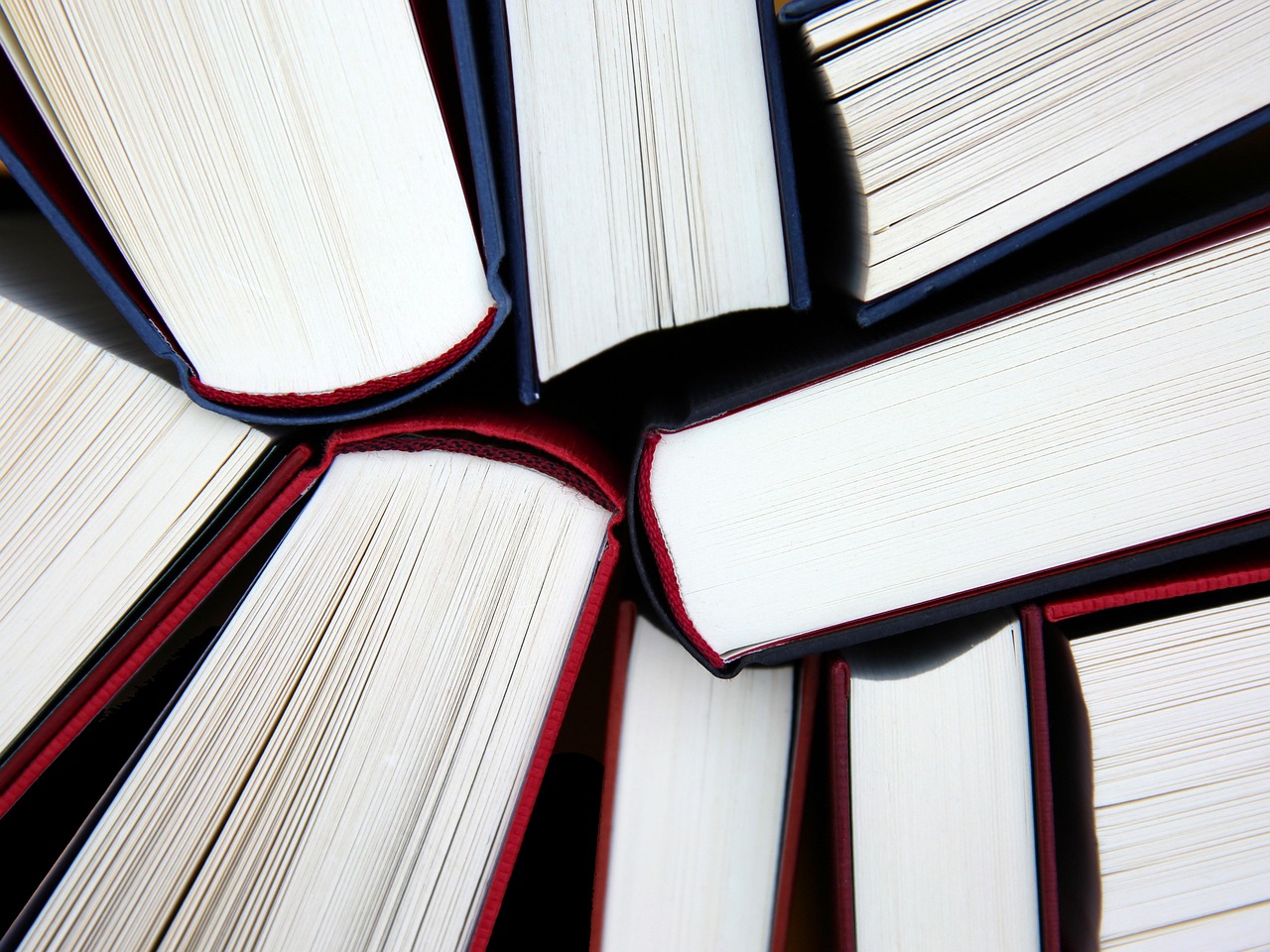 The Great Divide: States Write Their Own History (image credits: pixabay)