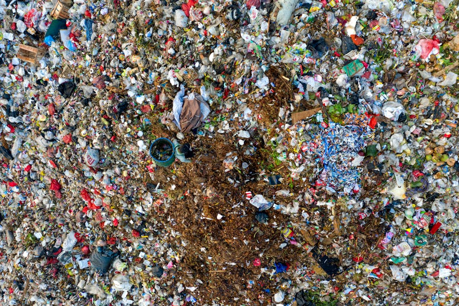 Environmental Justice Concerns (image credits: pexels)