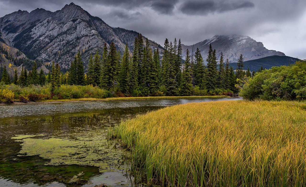 Fighting Climate Change on the Front Lines (image credits: pixabay)