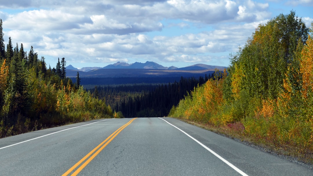 The Alaska Highway - Confronting Your Comfort Zone (image credits: unsplash)