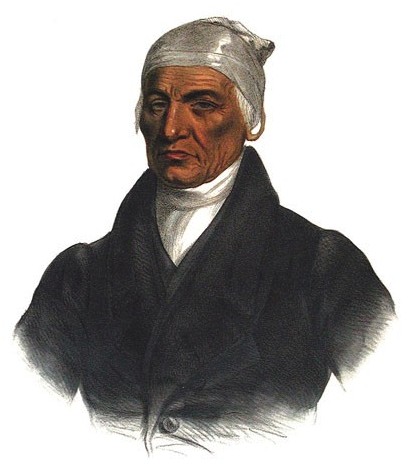 Black Hoof: The Accommodationist Chief Who Shaped Assimilation Policies (image credits: wikimedia)