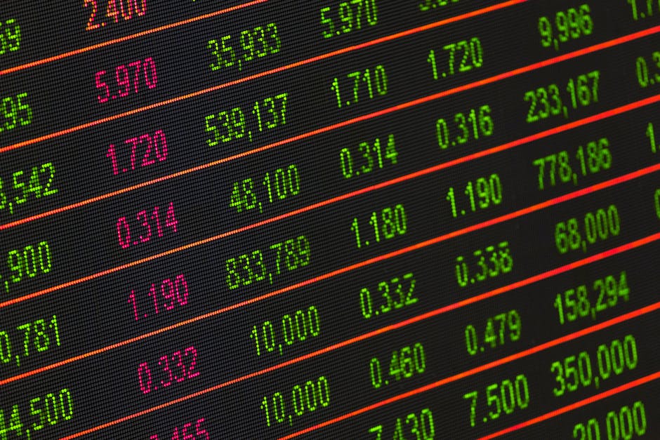 Strategic Investments and Business Opportunities