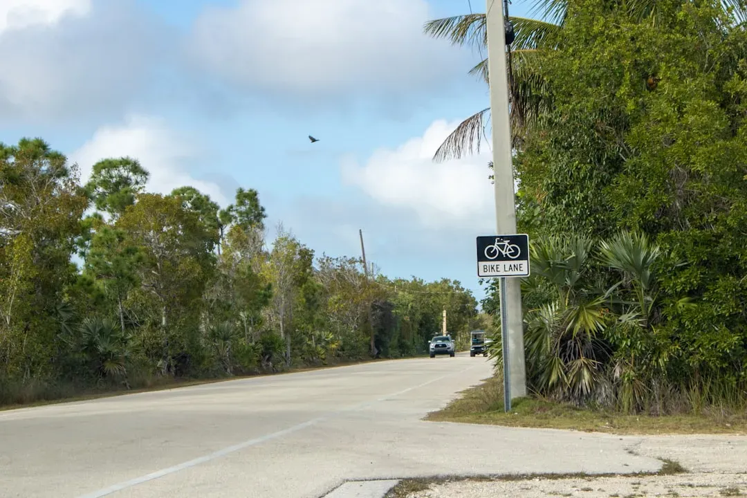 Overseas Highway to the Florida Keys (Image Credits: Unsplash)