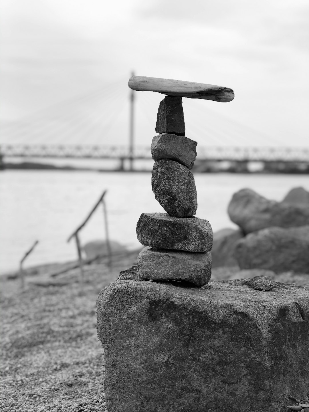 Understanding the Selfish Spectrum (image credits: unsplash)