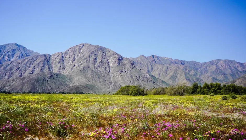 The Secret Entrance: Coyote Canyon Over Henderson Canyon Road (Image Credits: Pexels)