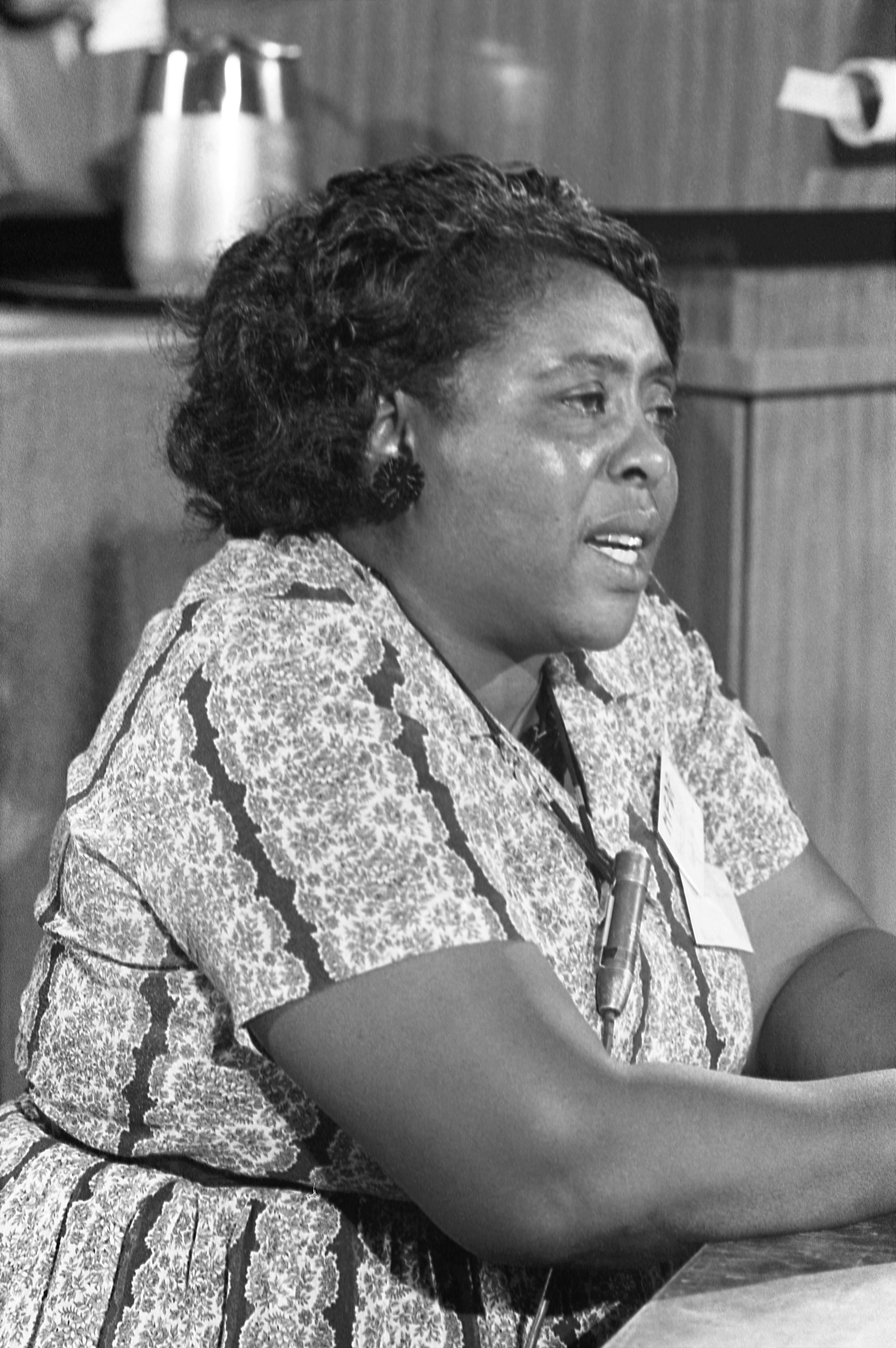 Fannie Lou Hamer: The Mississippi Sharecropper Who Challenged the System (image credits: wikimedia)