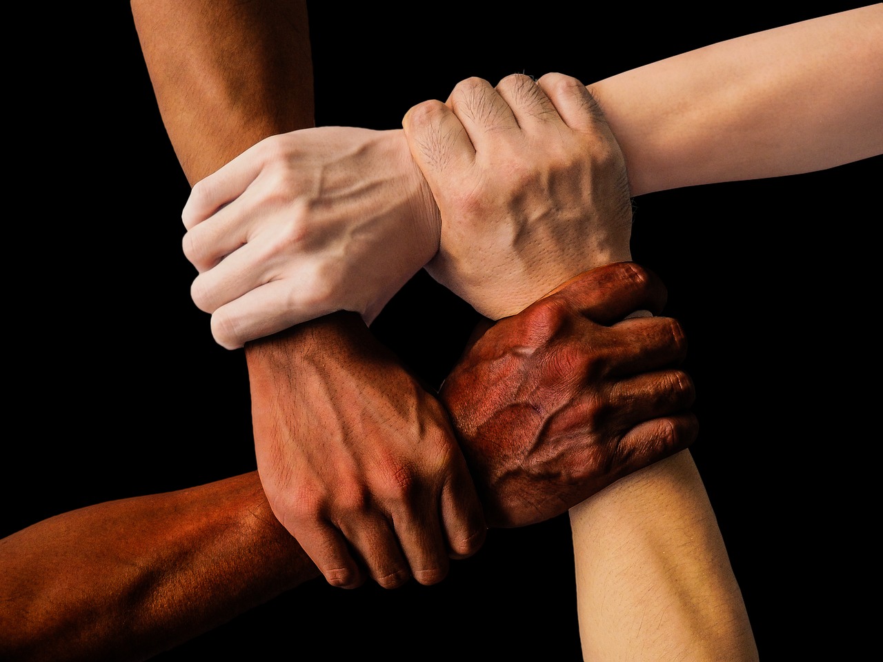 The DNC's Diversity Gambit Falls Flat (image credits: pixabay)
