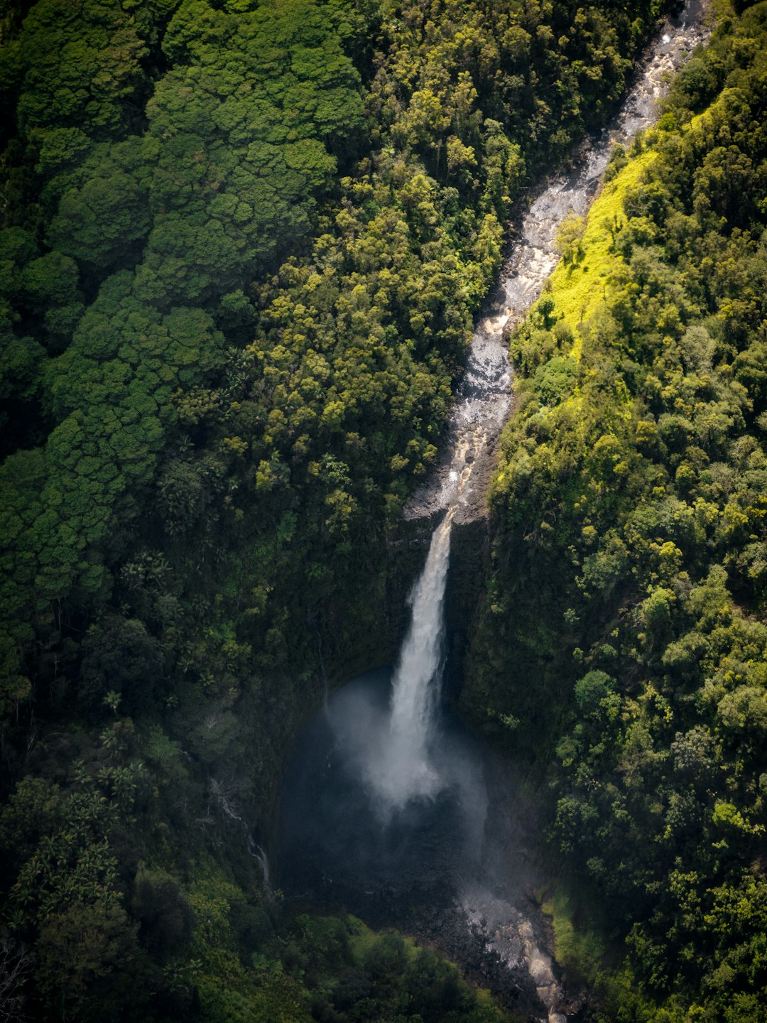 Waterfalls That Define Paradise (image credits: unsplash)