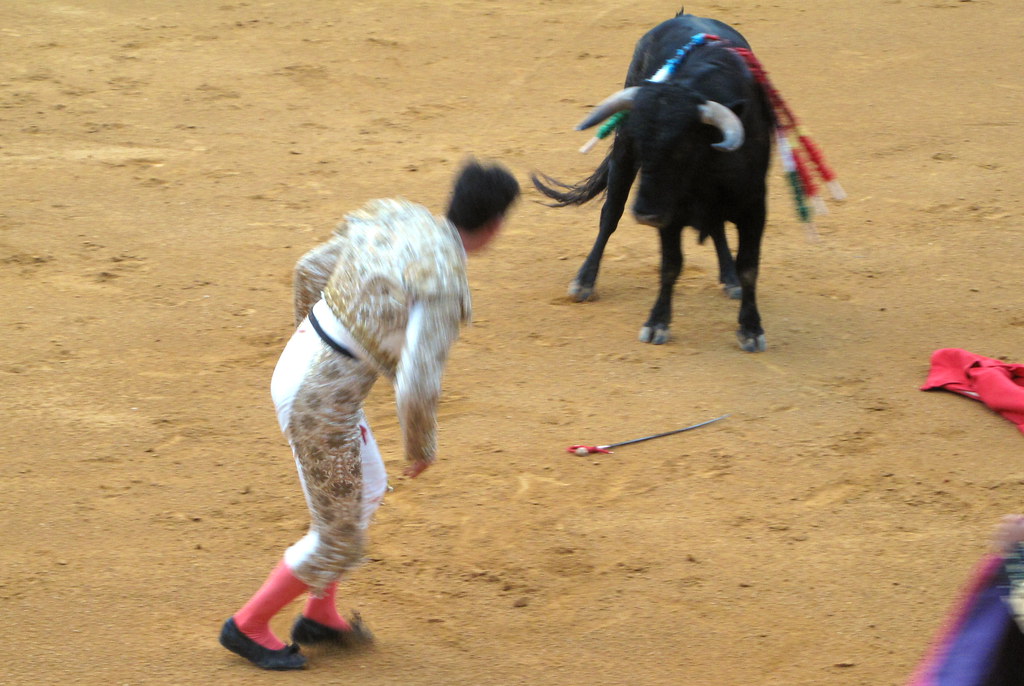 Bulls Are Enraged by the Color Red (image credits: flickr)