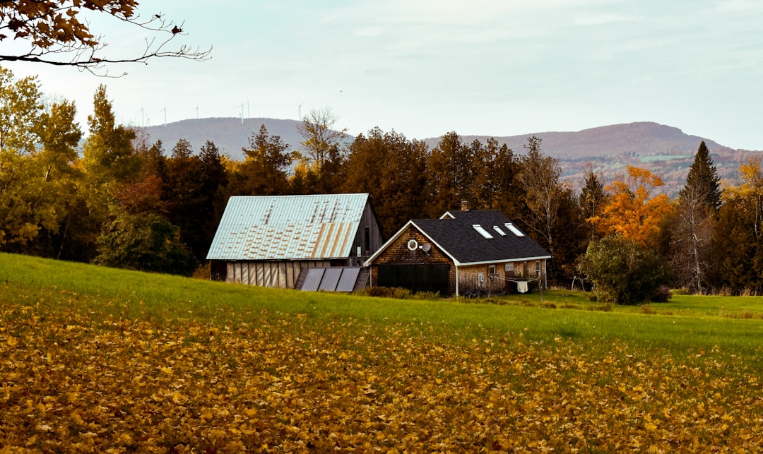 Record-Breaking Organic Farm Growth (image credits: unsplash)