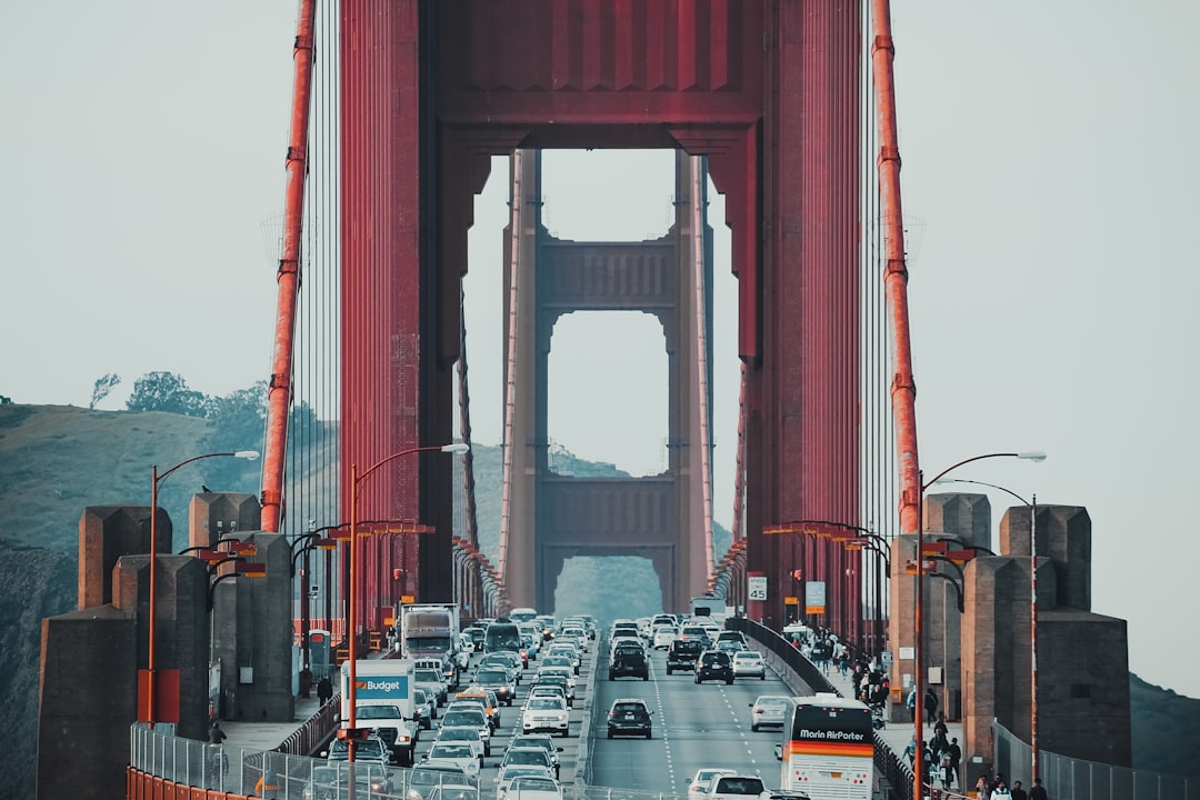 Real-World Examples: Cities Leading the Way (image credits: unsplash)