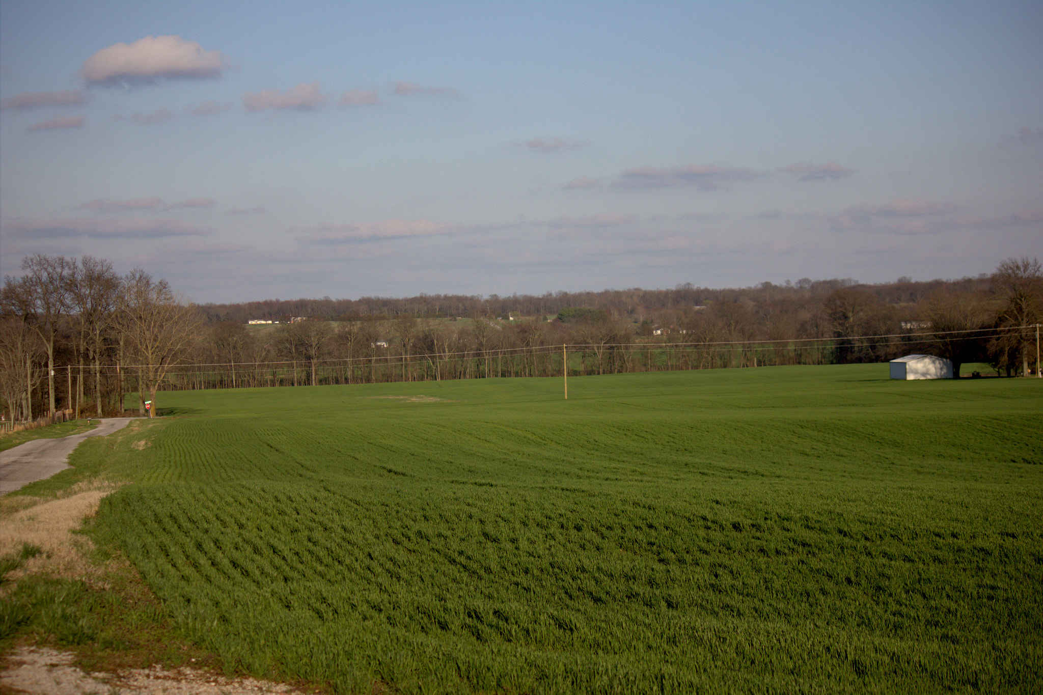 The Climate Sweet Spot Nobody Talks About (image credits: wikimedia)