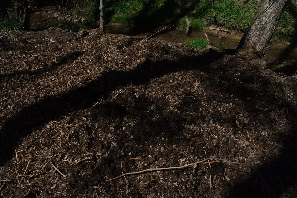 Building Carbon-Rich Soil Through Composting (Image Credits: Flickr)