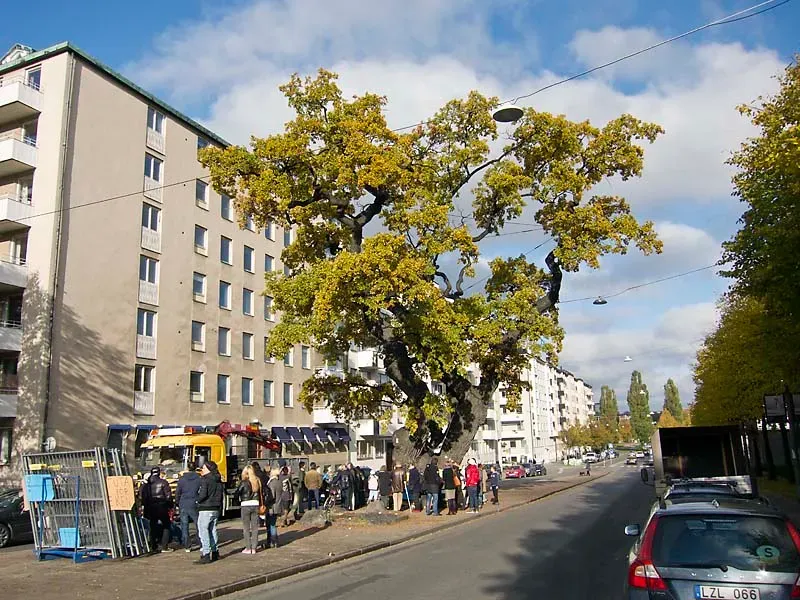 Massive Investment Through Community Partnership (Image Credits: Wikimedia)