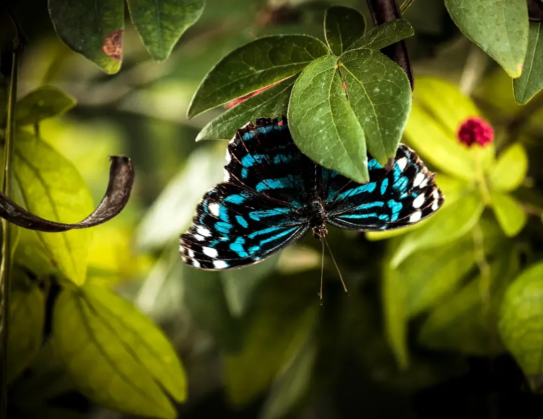 Scorpio: Breaking Free From the Shadows (Image Credits: Unsplash)
